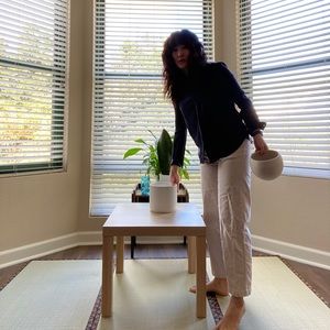 collector with wandering style